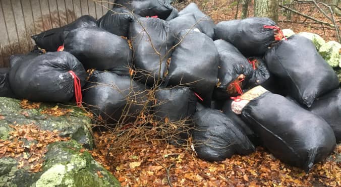 Picture of full black bags with trash to be picked up sitting in a yard in riverside, ca