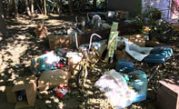 Picture of an old pile of junk in a yard in riverside, ca